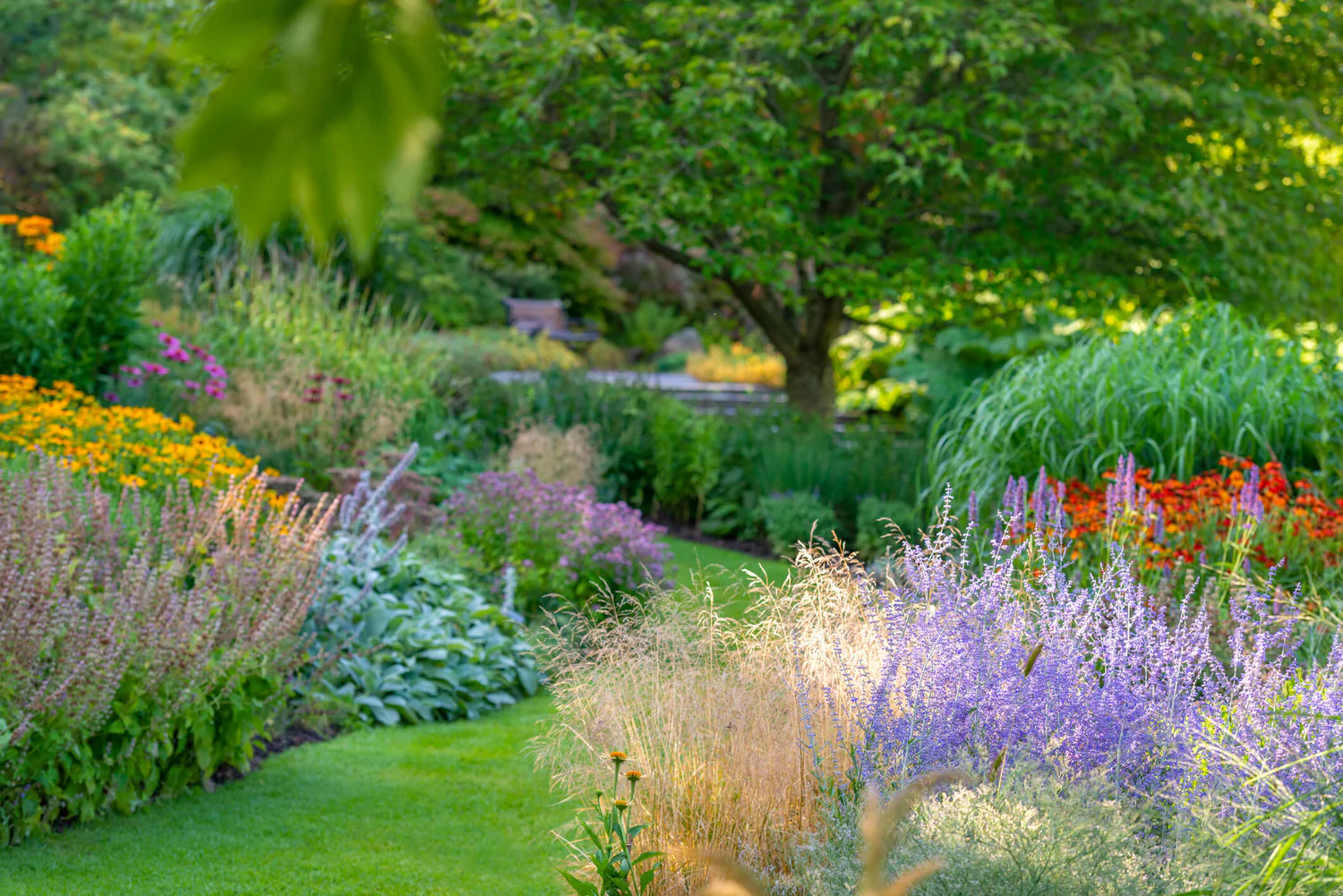 Cultivate Your Perfect Outdoor Sanctuary